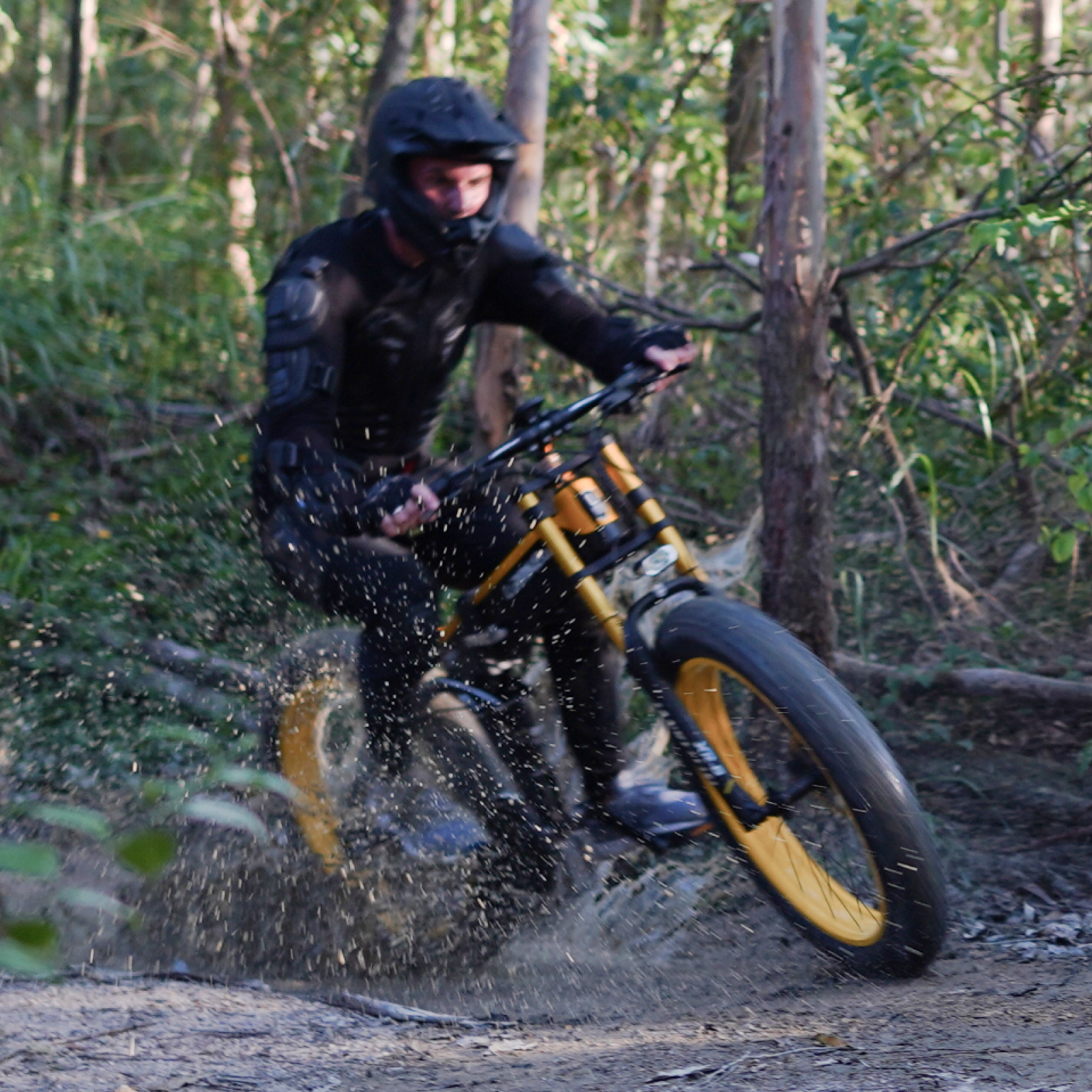 Lankeleisi XT750PLUS bici elettrica Green 250W fat bike trekking