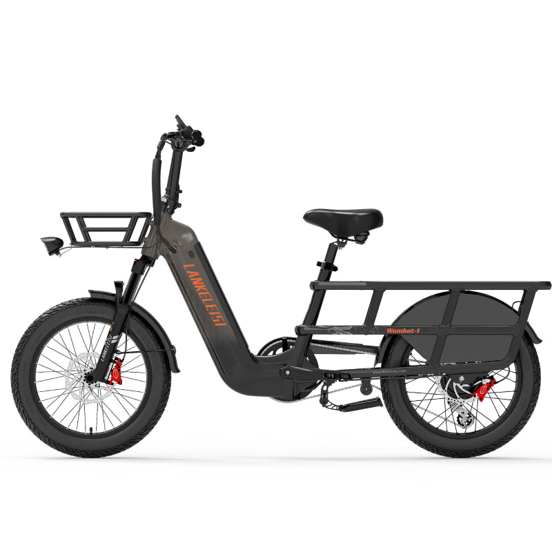 Lankeleisi Wombat-1 Bici Elettrica 250W Grigia Fat Bike