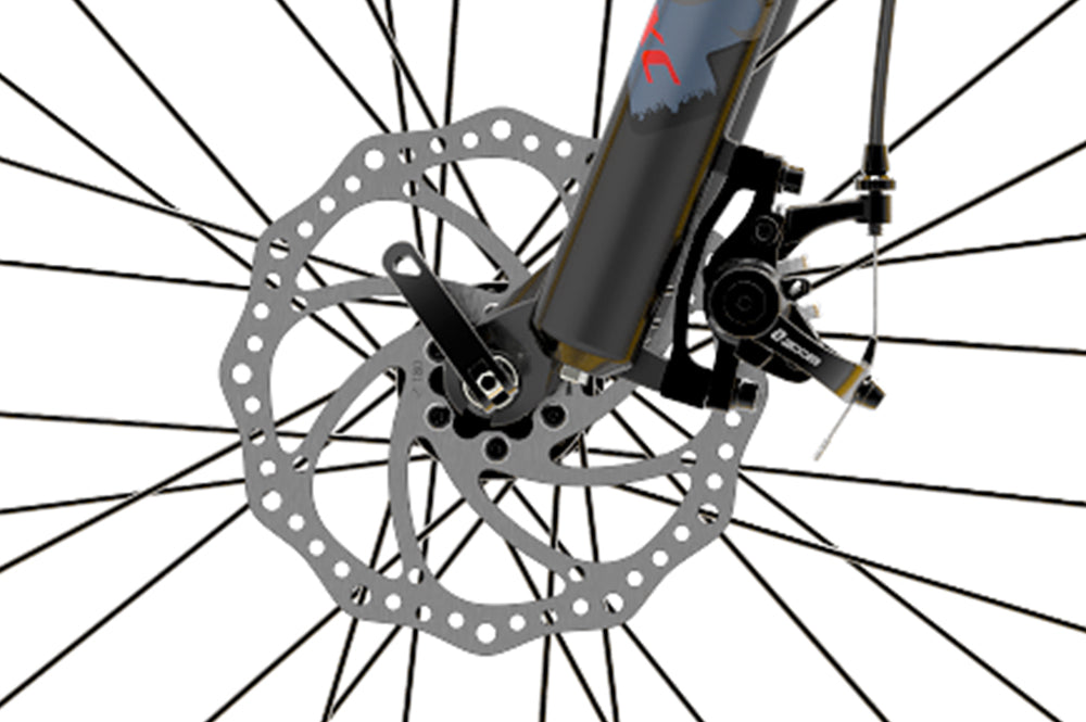 Lankeleisi Set freni idraulici bici elettrica G660
