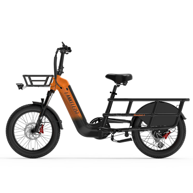 Lankeleisi Wombat-1 Bici Elettrica 250W Grigia Fat Bike