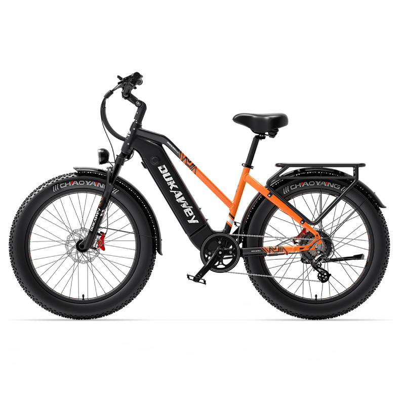 Lankeleisi DUKAWEY DM530 e-bike 250W arancione