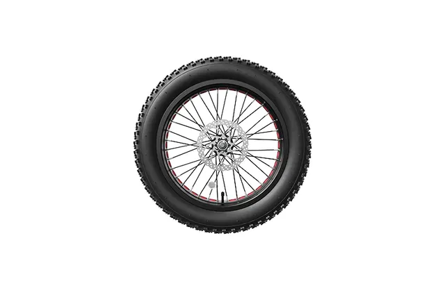 Lankeleisi Ruota anteriore bici elettrica 26x4.0 con motore