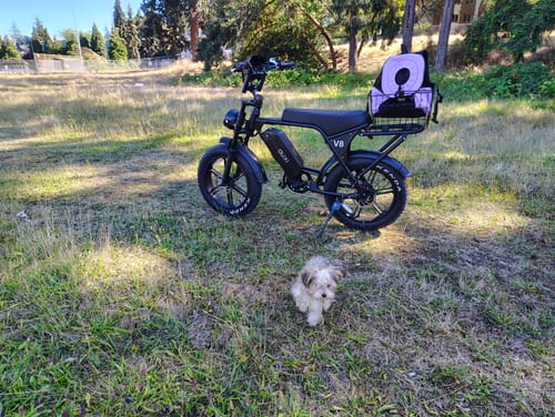 OUXI V8 Fat Bike Elettrica 750W Nera 48V 15Ah