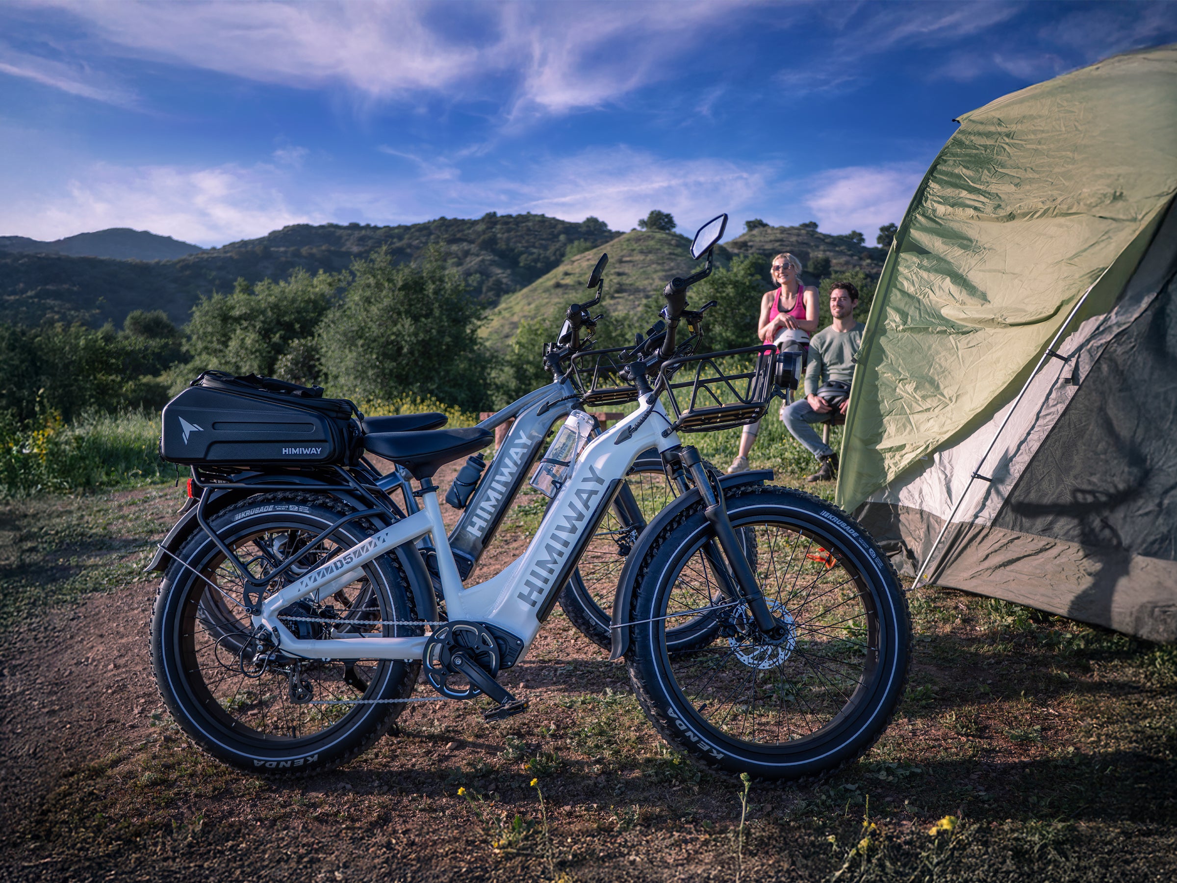 Himiway D Series D5 Zebra bici elettrica fat Verde 750W
