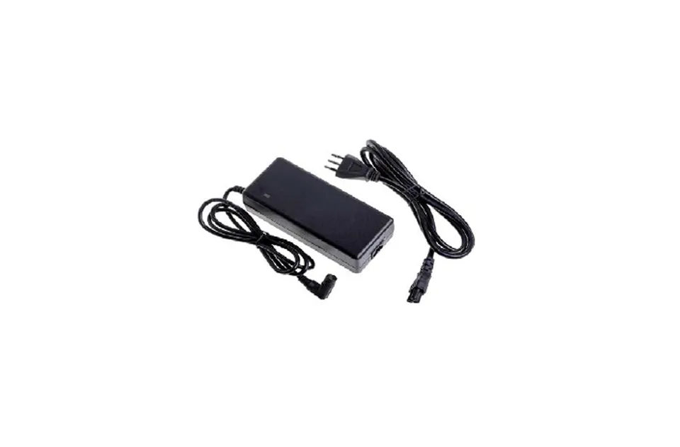 World Dimension Accessori Carica Batteria 36V ricambio litio RCA