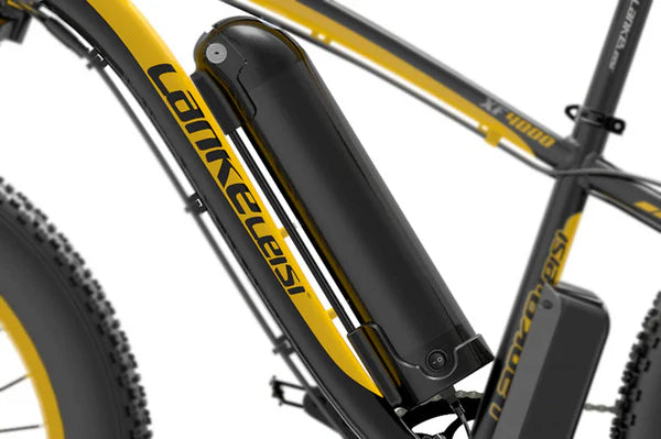 Lankeleisi Batterie Bici Elettrica Batteria Litio con Custodia