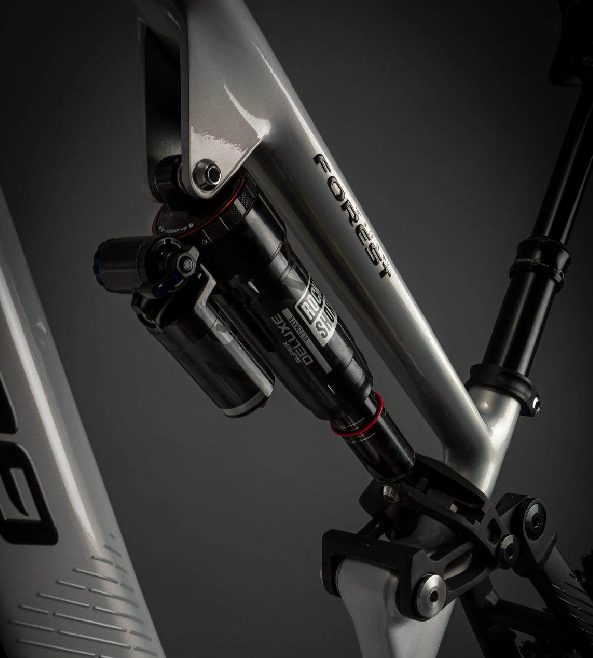 World Dimension MTB Forest TRX-700 bici elettrica telaio trekking