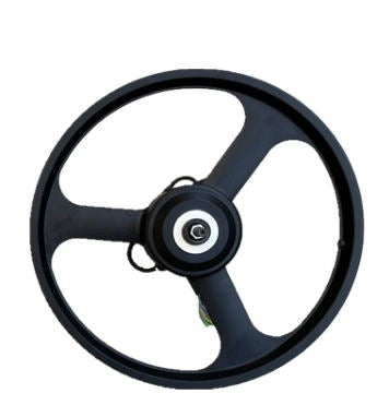 Lankeleisi Motore Bici Elettrica XC4000 Posteriore