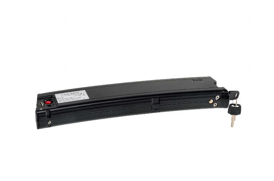 World Dimension Ricambi Batteria Litio 36V 8Ah Bici Elettrica Telaio Pieghevole