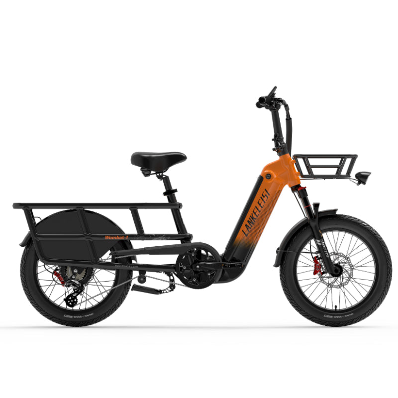 Lankeleisi Wombat-1 Bici Elettrica 250W Grigia Fat Bike