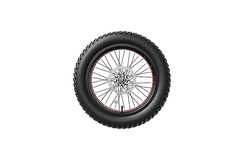 Lankeleisi Ruota anteriore bici elettrica 26x4.0 con motore