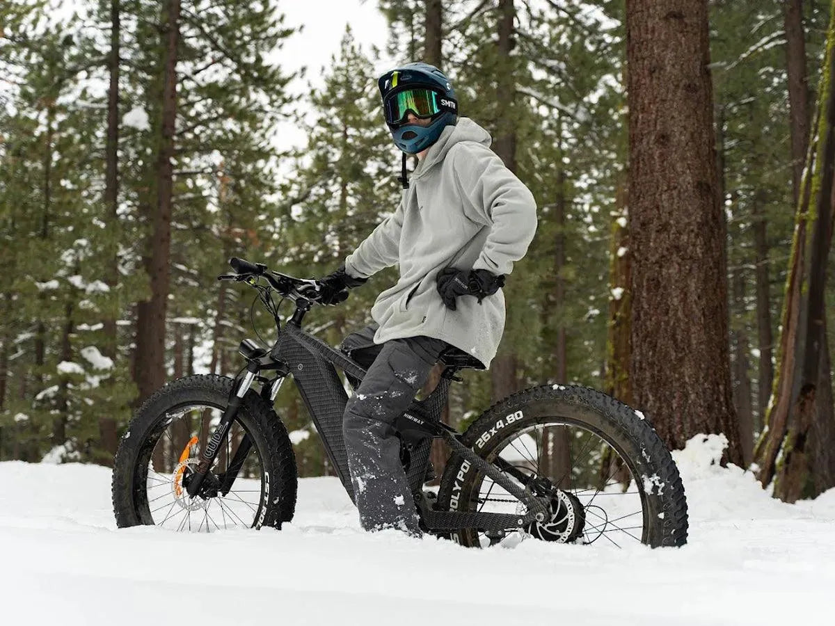 Himiway D Series D7 Bici elettrica hunting 26x4.5" 1000W