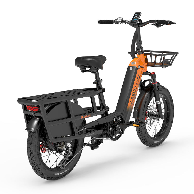 Lankeleisi Wombat-1 Bici Elettrica 250W Grigia Fat Bike