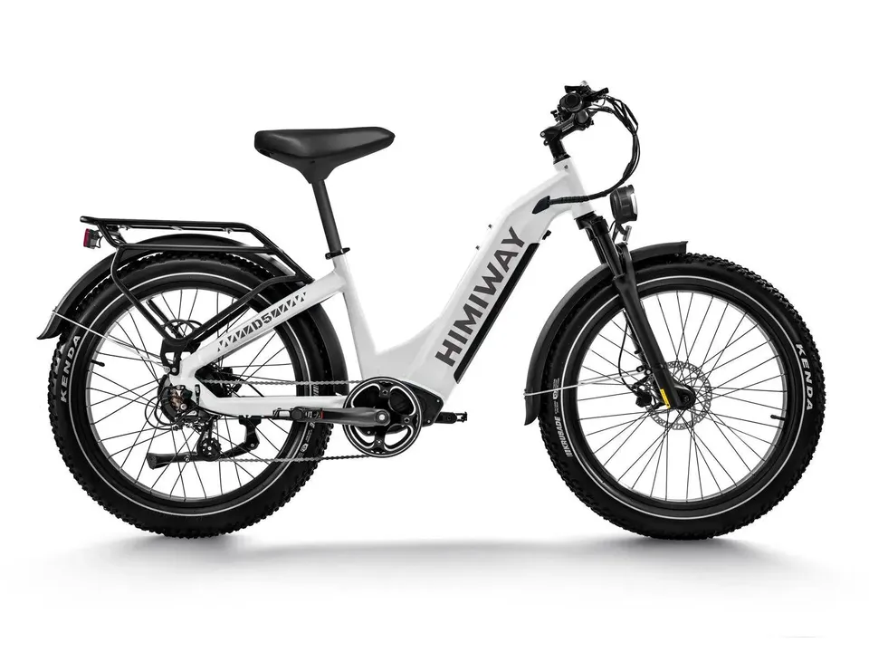 Himiway D5 ST Zebra ST bici elettrica fat verde 750W